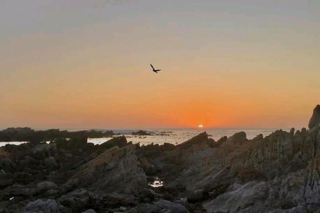 Hermanus Sea View Room Экстерьер фото